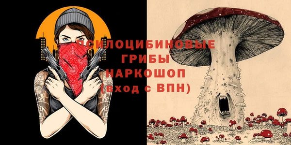 каннабис Арсеньев