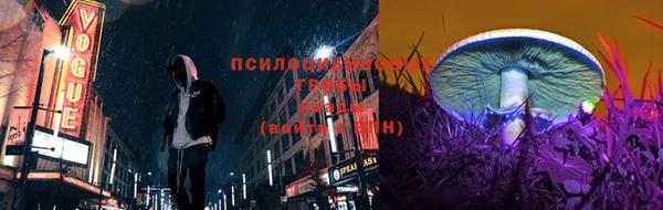 Альфа ПВП Балабаново